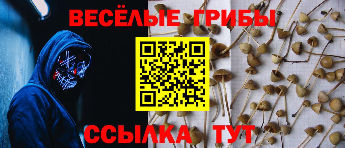 Галлюциногенные грибы Psilocybe  Псилоцибиновые грибы Cubensis  Вход с VPN  Родники 